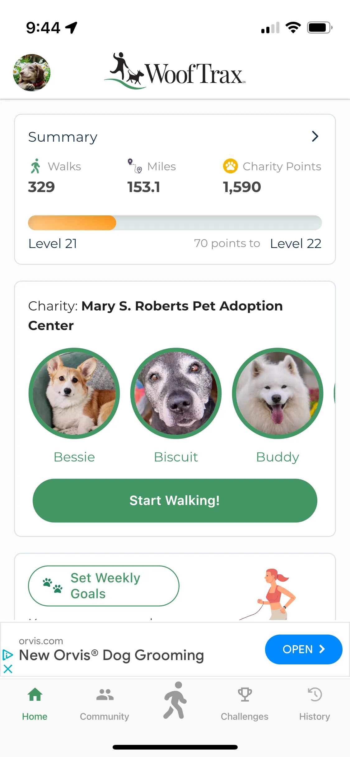 Screenshot of where users can track walks and charity contributions while using WoofTrax